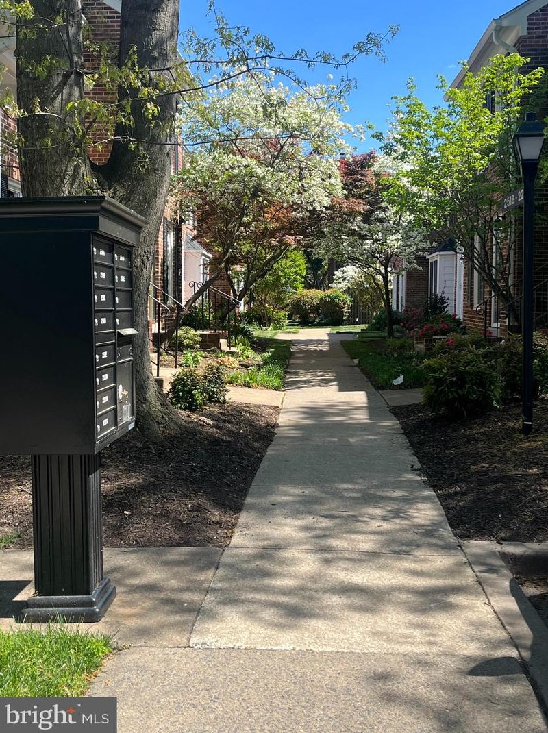 2518 S Arlington Mill Dr, Arlington, VA 22206
