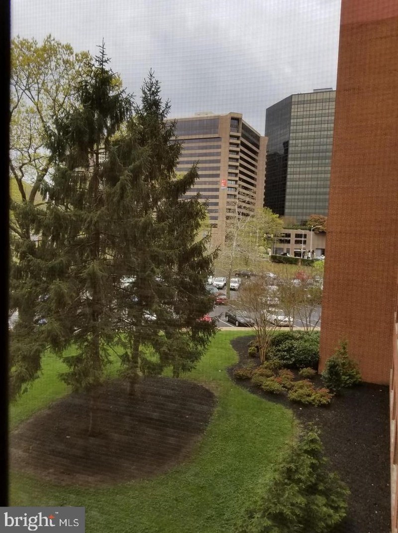 1111 Arlington Blvd #312, Arlington, VA 22209