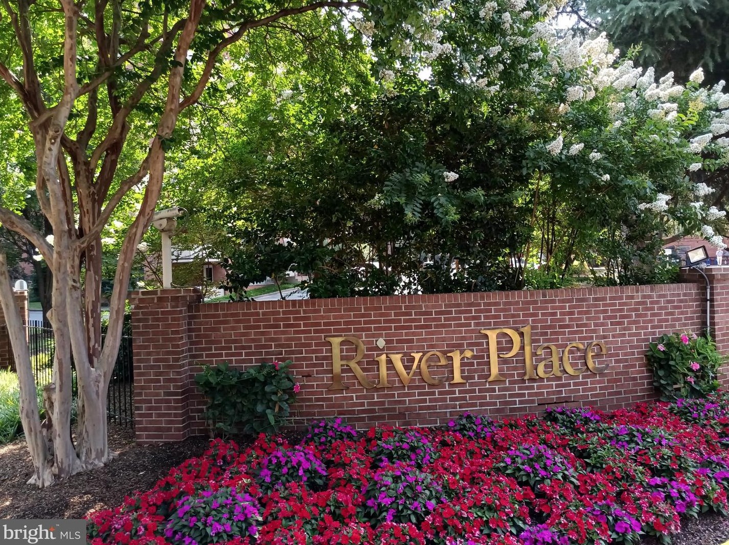 1011 Arlington Blvd Apt 613, Arlington, VA 22209