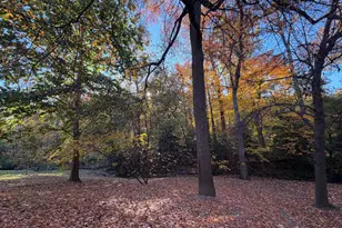 1415 S Edgewood St, Arlington, VA 22204 - Photo 48