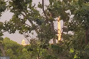 1021 Arlington Blvd, Arlington, VA 22209 - Photo 16