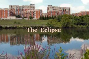 3650 S Glebe Rd, Arlington, VA 22202 - Photo 40