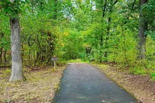 5051 7th Rd S, Arlington, VA 22204 - Photo 34