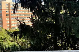 1101 S Arlington Ridge Rd, Arlington, VA 22202 - Photo 30