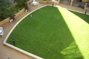 [Address not provided], Arlington, VA 22203 - Photo 24