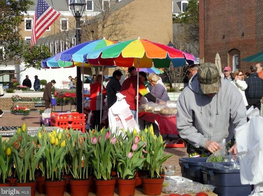 4 Alexandria Ave, Alexandria VA 22302-4204 exterior