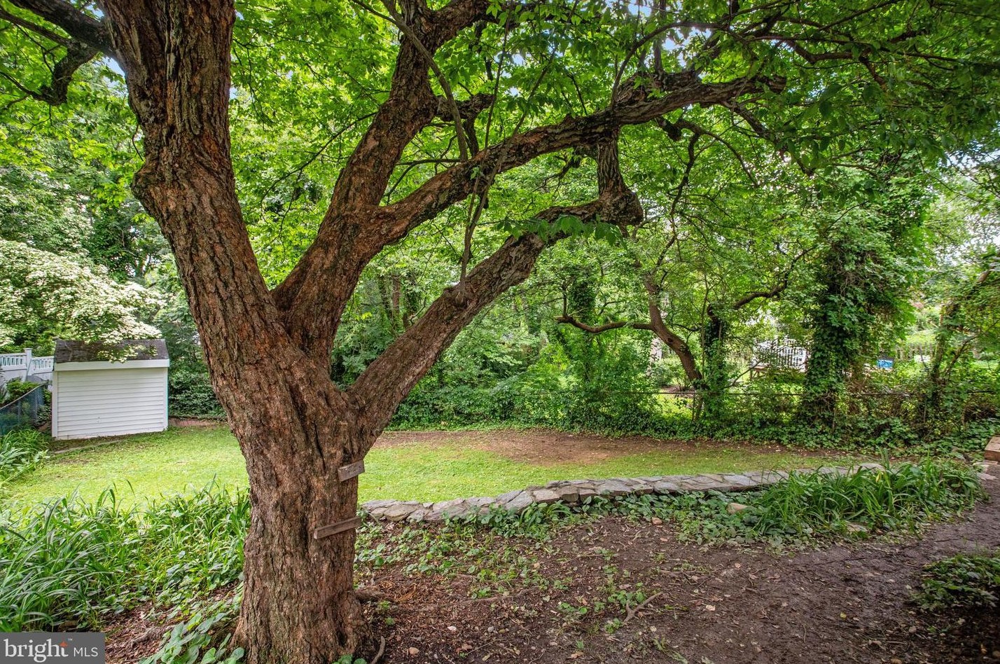 1321 Bayliss Dr, Alexandria VA 22302-3510 exterior