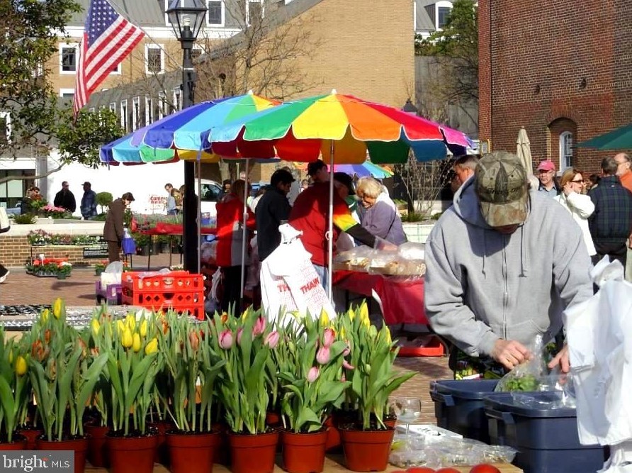 2315 Commonwealth Ave, Alexandria VA 22305-2829 exterior