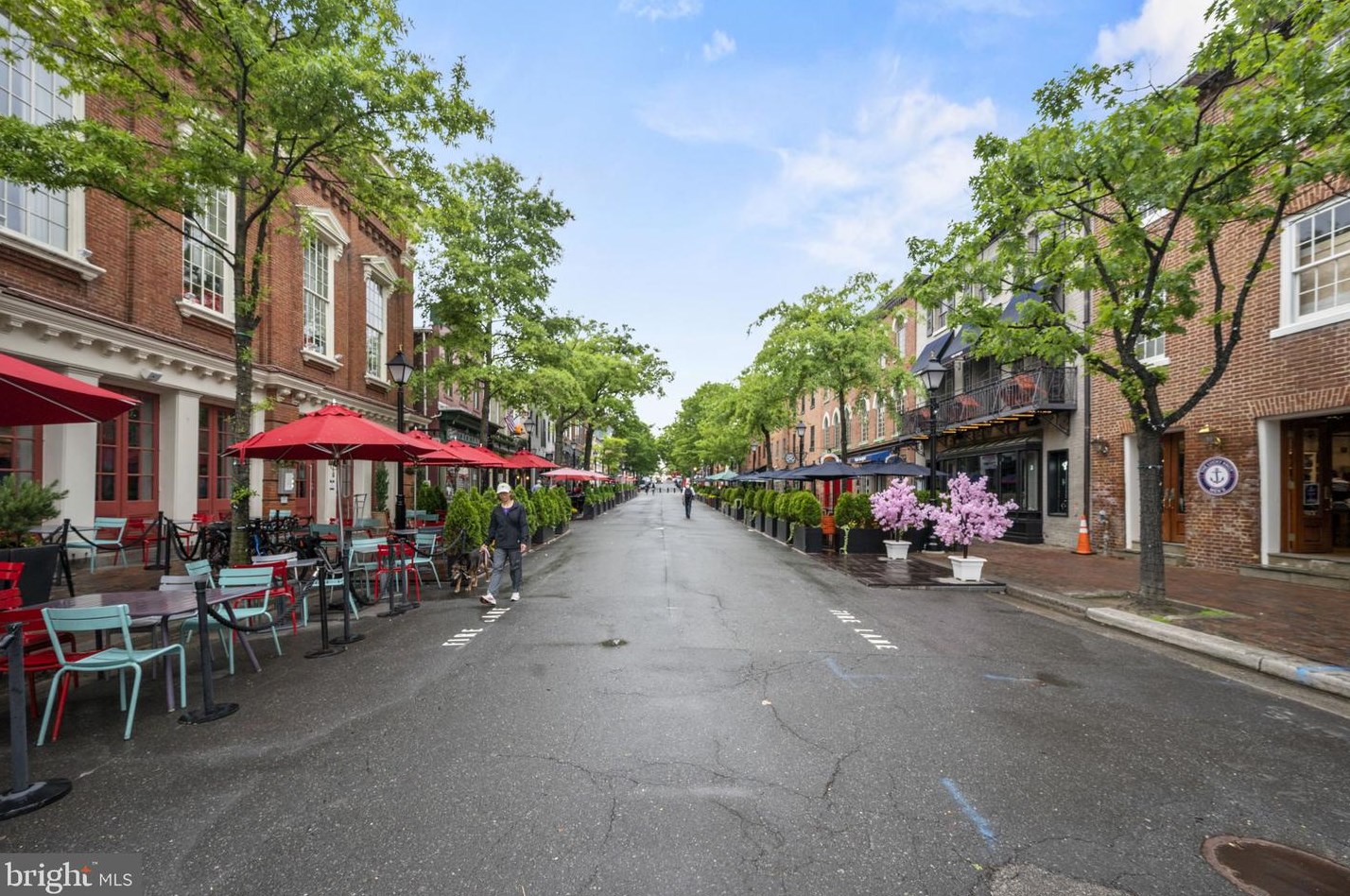 123 Moncure Dr, Alexandria VA 22314-4965 exterior