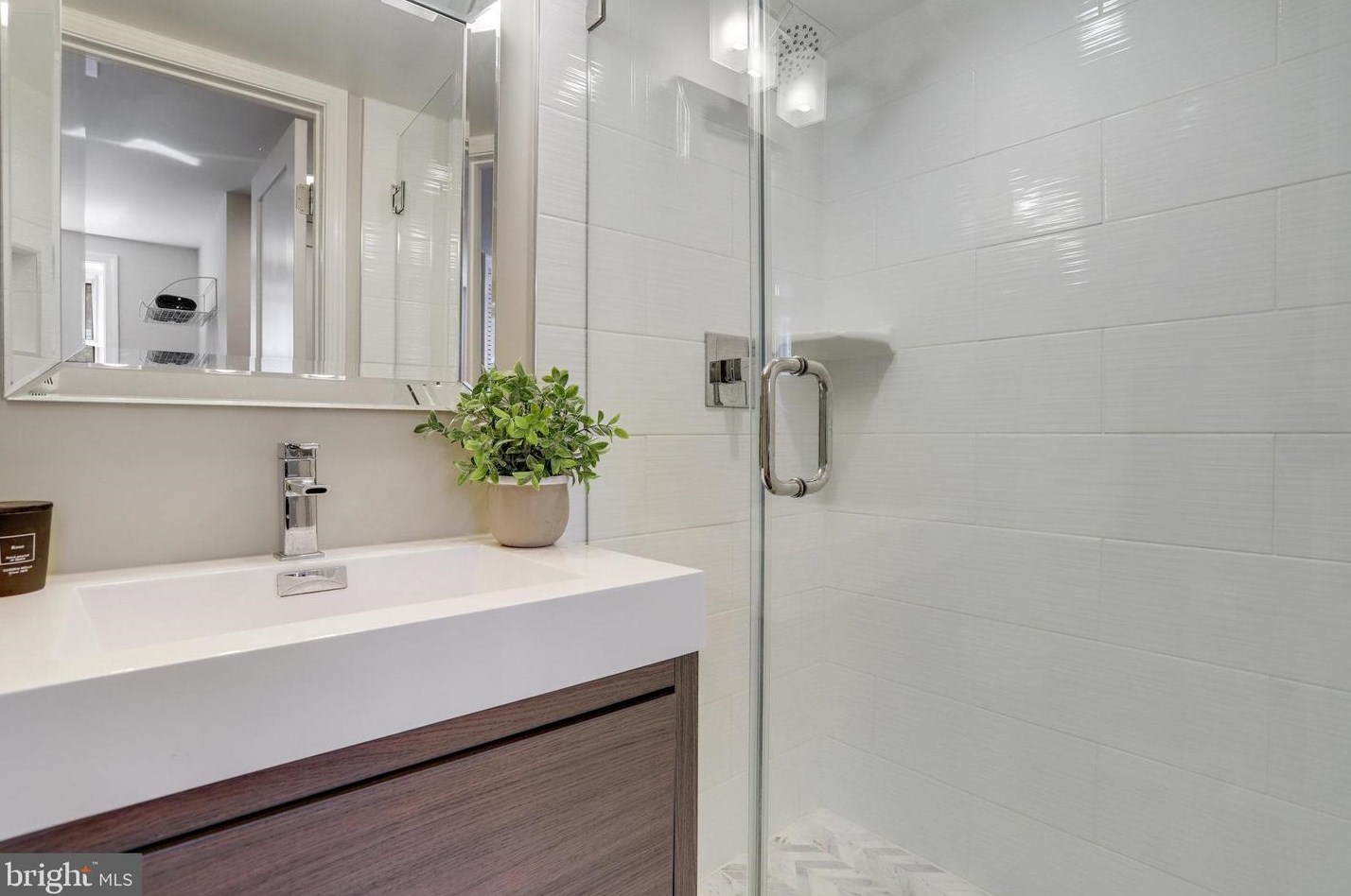 124 Maple St, Alexandria VA 22301-2605 exterior