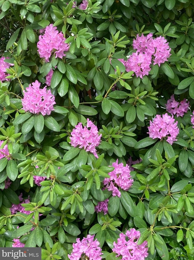 3819 White Post Ct, Alexandria VA 22304-6357 exterior