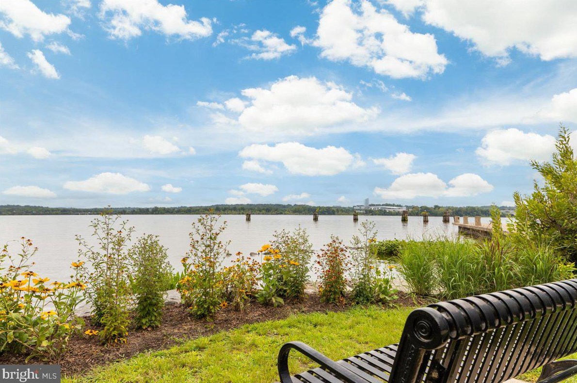 43 Carriage House, Alexandria VA 22304-6336 exterior