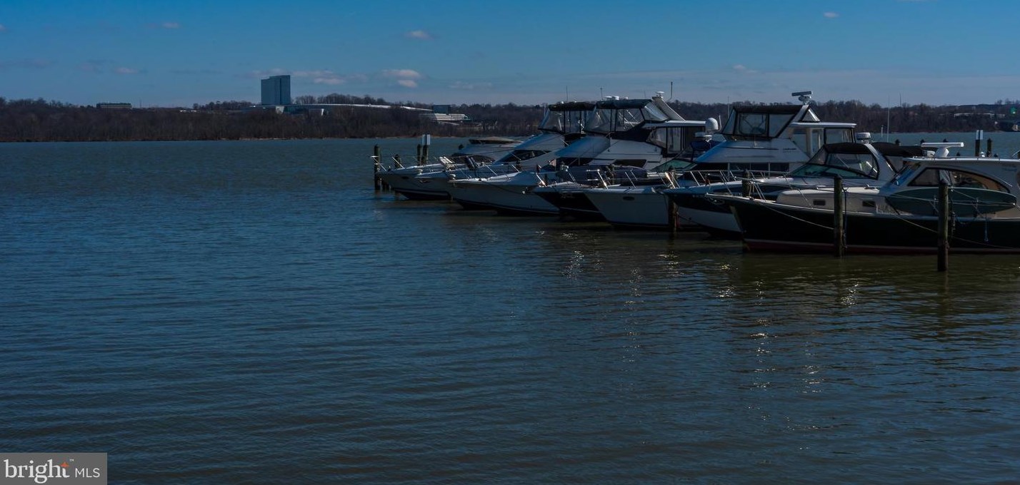 1014 Prince St, Alexandria VA 22314-2946 exterior