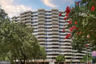 6301 Stevenson Ave, Alexandria, VA 22304 - Photo 4