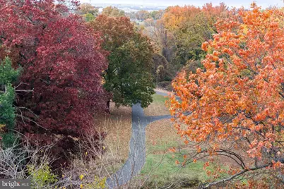 625 Slaters Lane #402, Alexandria, VA 22314 - Photo 40