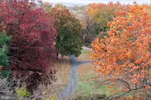 625 Slaters Ln, Alexandria, VA 22314 - Photo 40