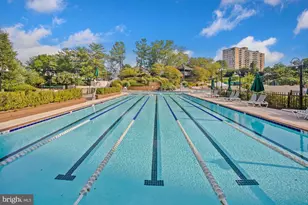 307 Yoakum Pkwy, Alexandria, VA 22304 - Photo 38