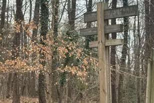 491 N Latham Street N, Alexandria, VA 22304 - Photo 38