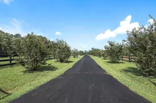 2667 Union Church Rd, Buckingham, VA 23921 - Photo 4