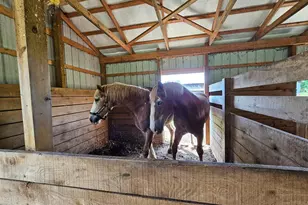 2667 Union Church Rd, Buckingham, VA 23921 - Photo 84