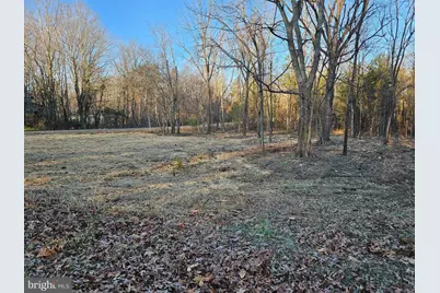 0 Physic Spring Road, Dillwyn, VA 23936 - Photo 10