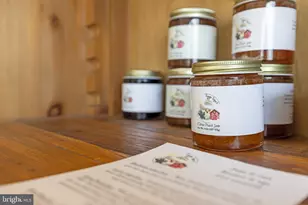 4204 Old Fincastle Rd, Fincastle, VA 24090 - Photo 46