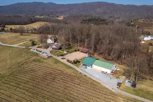 4204 Old Fincastle Rd, Fincastle, VA 24090 - Photo 78