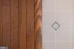 4204 Old Fincastle Rd, Fincastle, VA 24090 - Photo 28