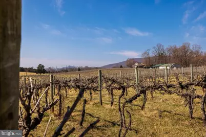 4204 Old Fincastle Rd, Fincastle, VA 24090 - Photo 74