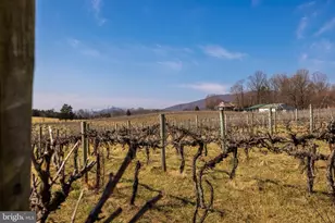 4204 Old Fincastle Rd, Fincastle, VA 24090 - Photo 74