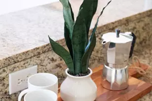 15212 Fairen Ln, South Chesterfield, VA 23834 - Photo 10