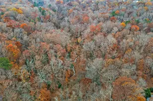 14429 Fox Knoll Dr, South Chesterfield, VA 23834 - Photo 72