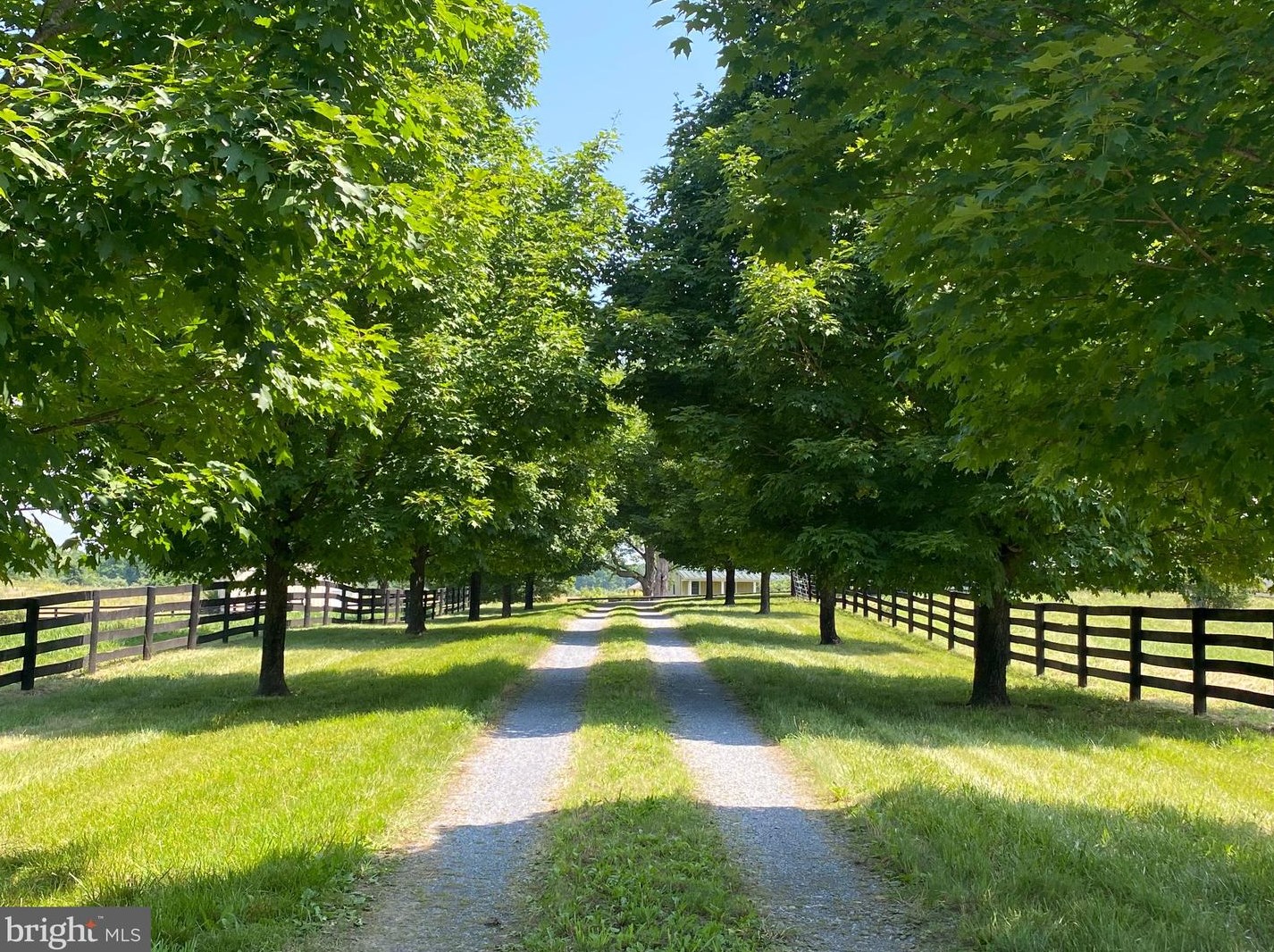 216 Bushland Ln, Mount Weather, VA 22611