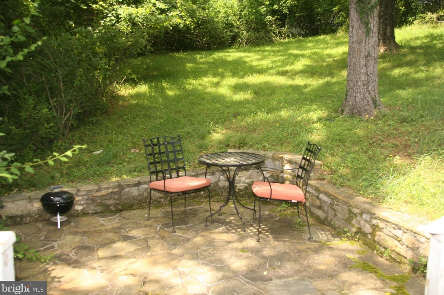 171 Shan Hill Ln, Boyce, VA 22620