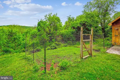 245 River House Lane, Boyce, VA 22620 - Photo 46