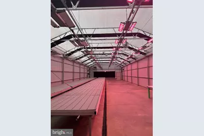 1070 Wadesville Road, Berryville, VA 22611 - Photo 6