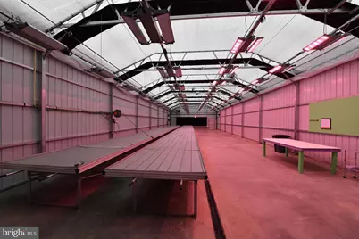 1070 Wadesville Road, Berryville, VA 22611 - Photo 24