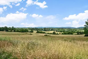 1741 Parshall Rd, Berryville, VA 22611 - Photo 74