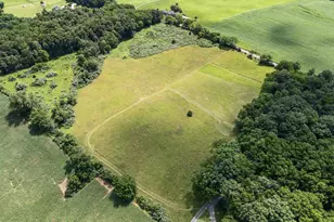 1741 Parshall Rd, Berryville, VA 22611 - Photo 94