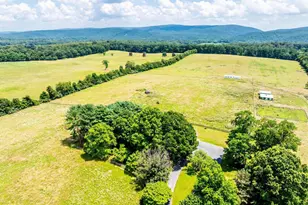 367 Kennel Rd, Boyce, VA 22620 - Photo 70