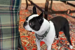 961 Summerville Rd, Boyce, VA 22620 - Photo 56