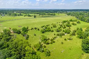 961 Summerville Rd, Boyce, VA 22620 - Photo 54