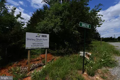 1070 Wadesville Road, Berryville, VA 22611 - Photo 6