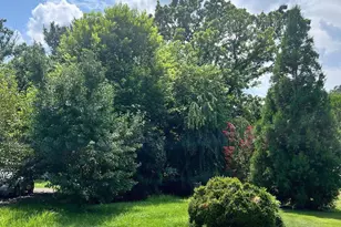 218 Treadwell St, Berryville, VA 22611 - Photo 4