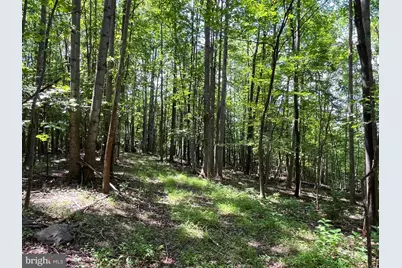 Pioneer Lane, Boyce, VA 22620 - Photo 6