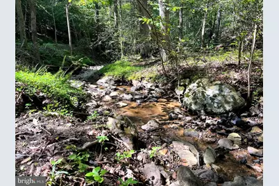 Pioneer Lane, Boyce, VA 22620 - Photo 8