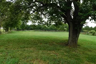 13142 Lord Fairfax Hwy, Boyce, VA 22620 - Photo 14