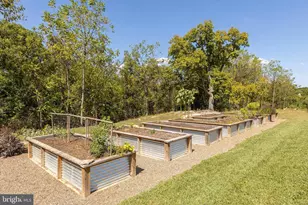 1744 Lord Fairfax Hwy, Berryville, VA 22611 - Photo 6