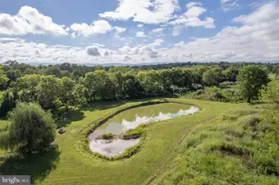 1744 Lord Fairfax Hwy, Berryville, VA 22611 - Photo 84