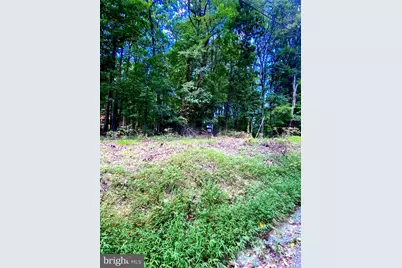 17A1-5-15 Timber Ln, Bluemont, VA 20135 - Photo 4